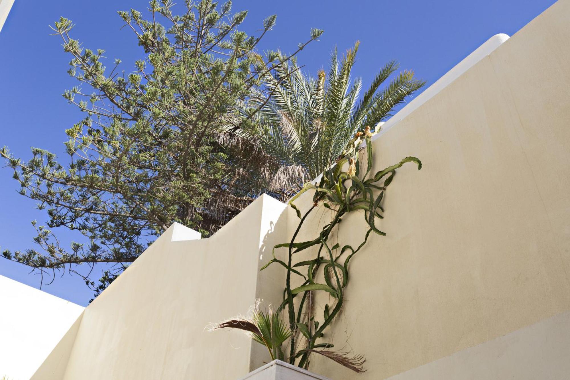Tavira Historical Center Apartments מראה חיצוני תמונה